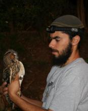 Yosef Kiat's picture